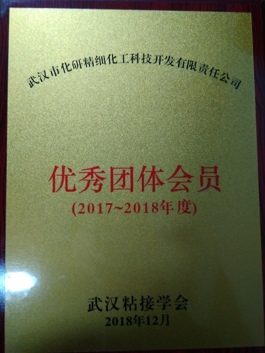 武汉粘接学会“优秀团体会员”