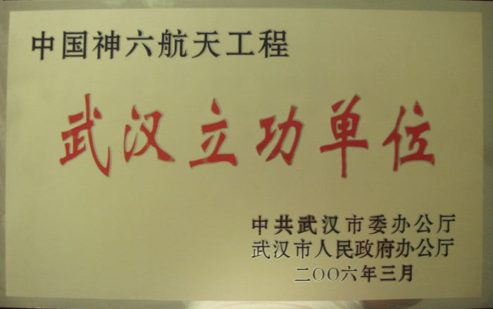 武汉市委、市人民政府表彰